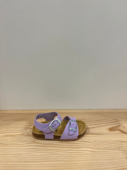 PLAKTON SANDALO 861407 GLICINE